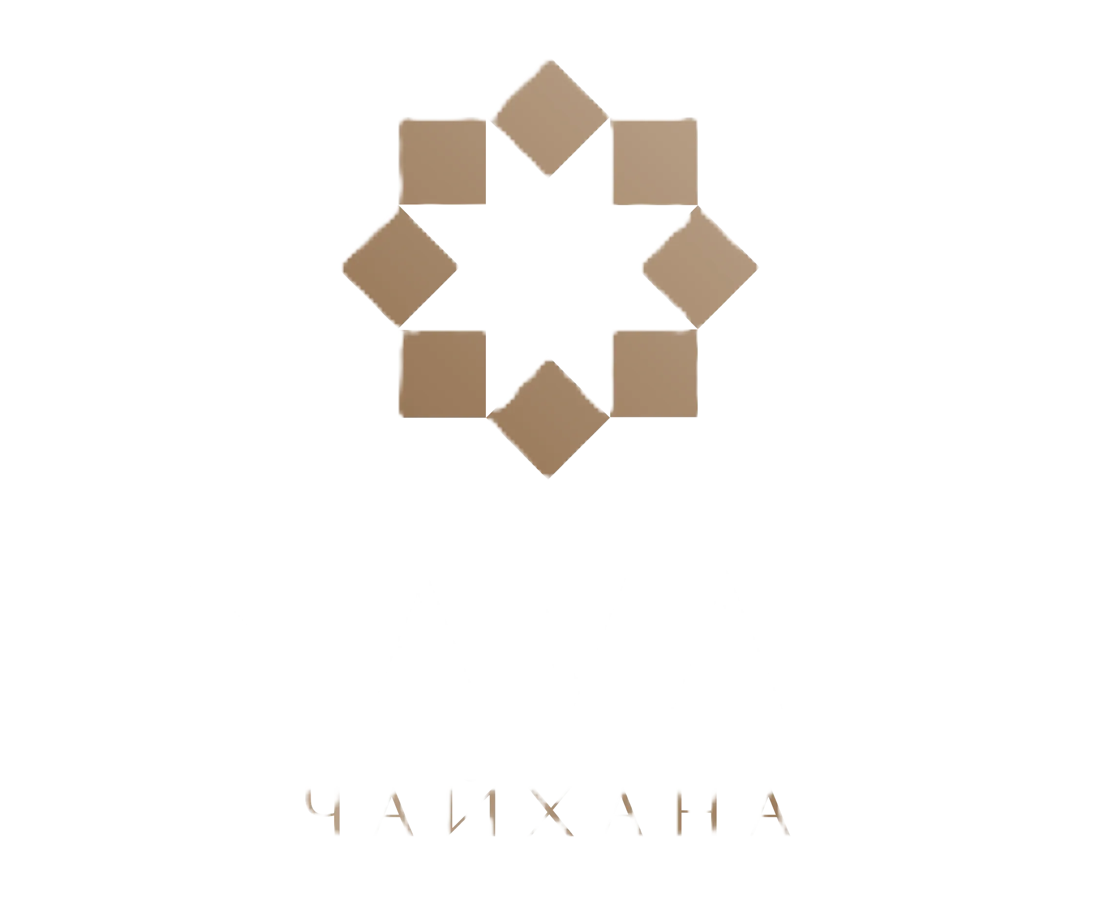 logo_navat